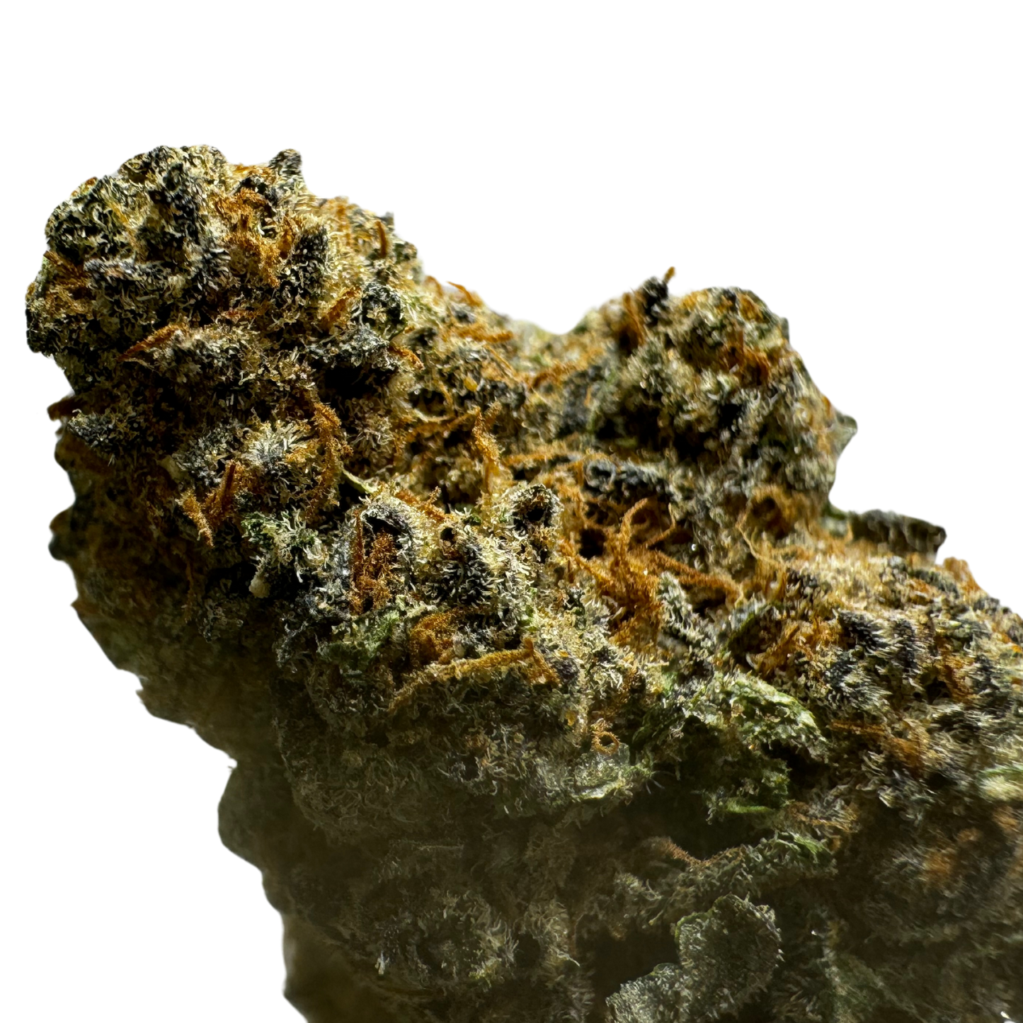 Close-up of a dense cannabis bud with a mix of green and orange hues