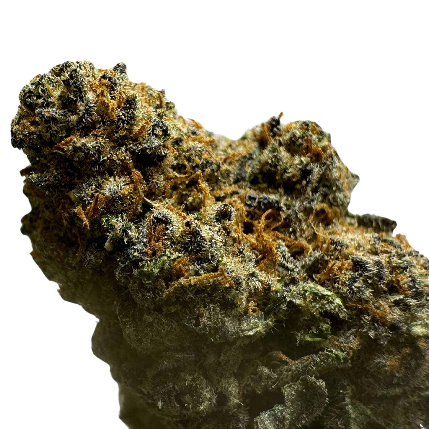 Close-up of a dense cannabis bud with a mix of green and orange hues