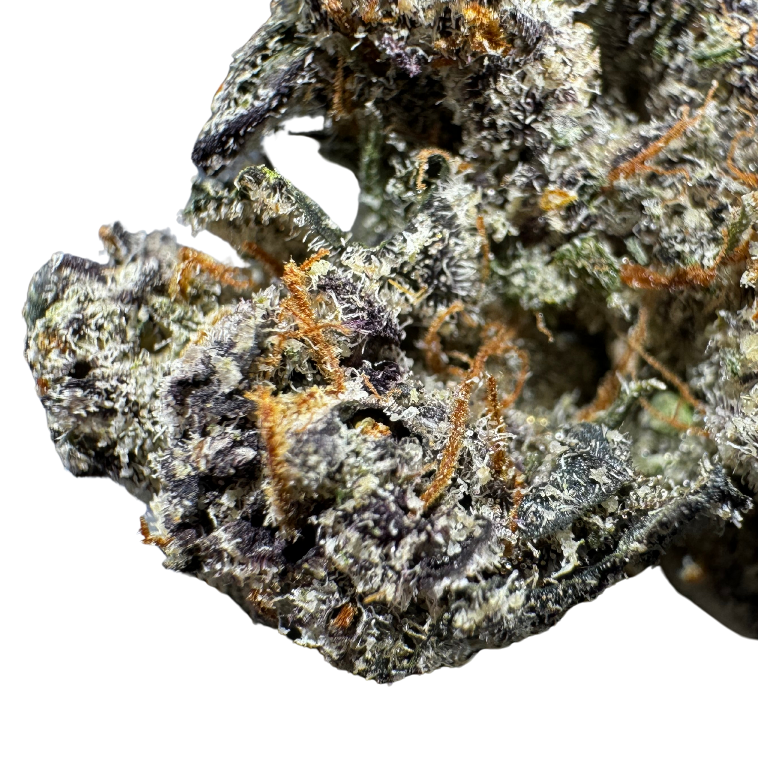 Close-up of a dense cannabis bud, showcasing vibrant purples, frosty trichomes.