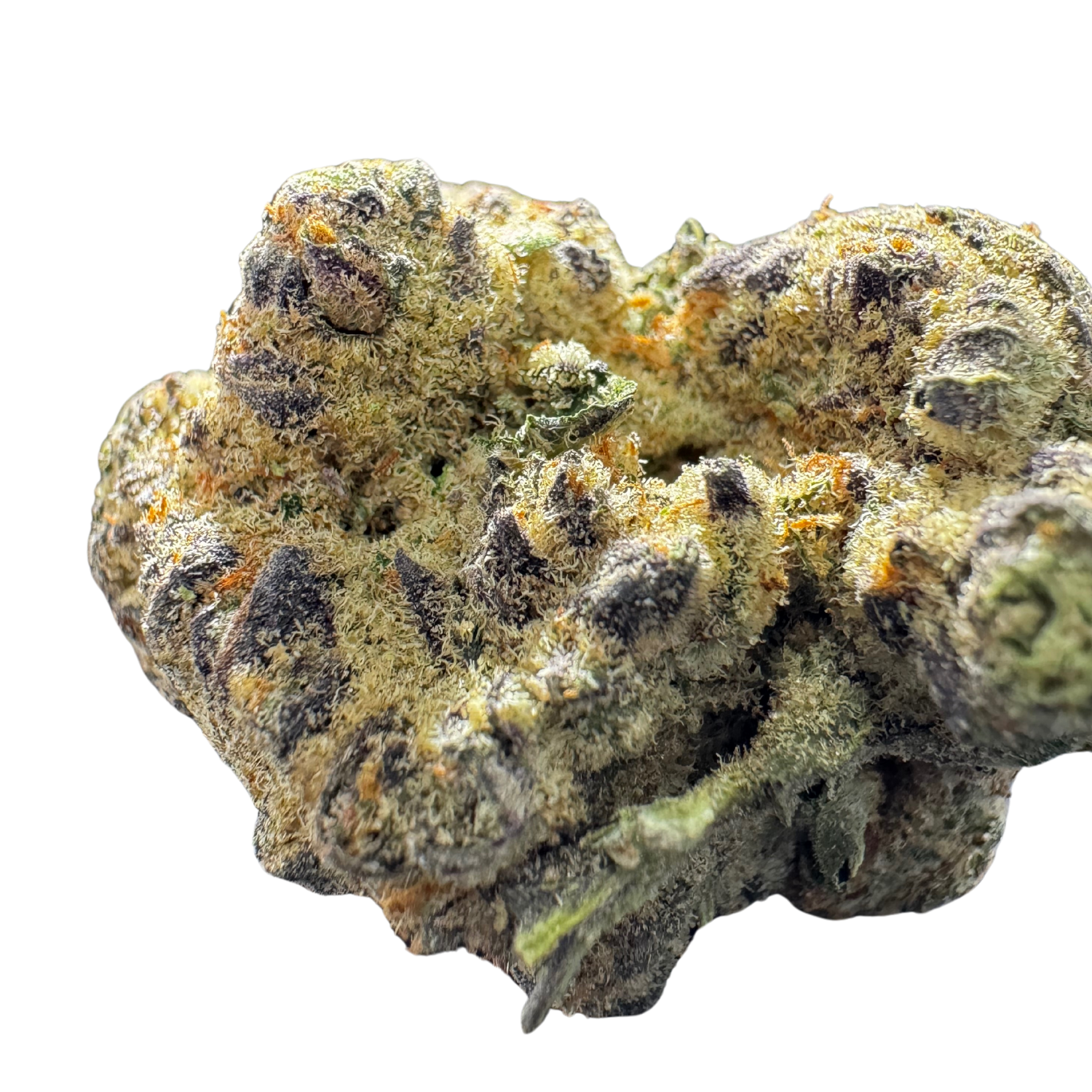 A dense cannabis bud covered in trichomes, showcasing dark purple hues.